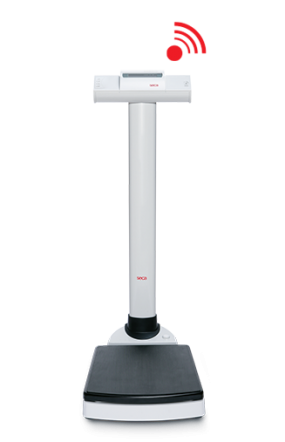 Bascula digital de columna 250 kg de capacidad Mod. SECA 703