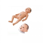Producto Recomendado - maniqui