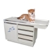 Mesa para Exploración Veterinaria Grand Plus base esmaltada