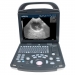 Ultrasonido veterinario con transductor lineal y convexo