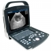 Ultrasonido veterinario con transductor lineal y convexo