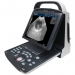 Ultrasonido veterinario con transductor lineal y convexo