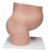 Pelvis de embarazo (3 piezas)