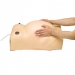 Modelo de maternidad tipo II