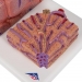 Hígado 3B MICROanatomy