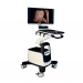 Ultrasonido Qbit 7 con 3 transductores (convexo, lineal y vaginal)