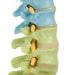 Columna didáctica flexible