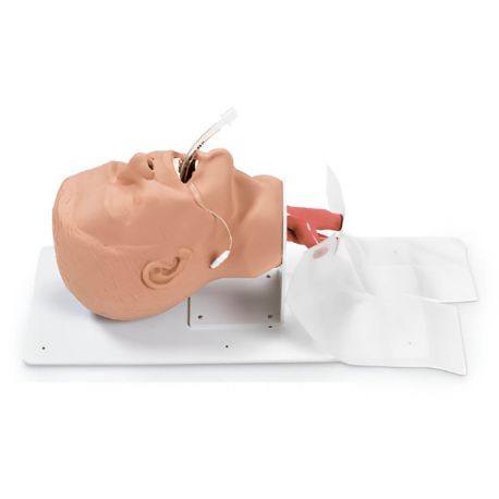 Maniquí para vías aéreas, adulto, SIM-101-500