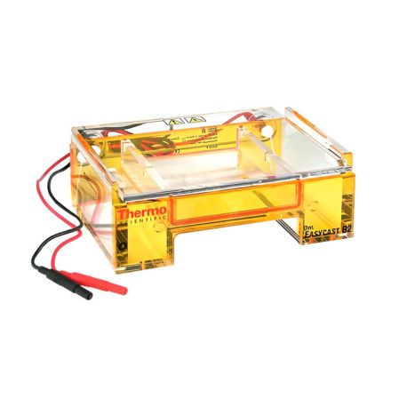 Sistema de electroforesis minigel 12 x 14 cm, TSC-B2-BP