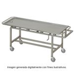 Producto recomendado - carro