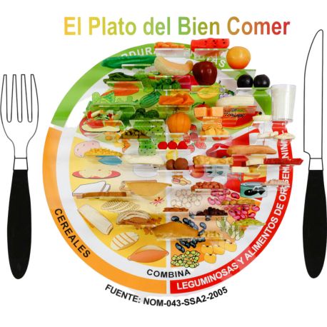 Plato del Bien Comer con 43 Réplicas de Alimento, NAS-TAQ-101-PLB43