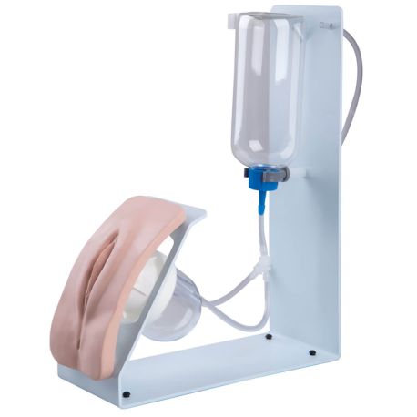 Simulador de Cateterismo BASIC Femenino P93F, A3-P93F