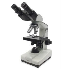 Microscopio cabeza binocular IROSCOPE  BL-6